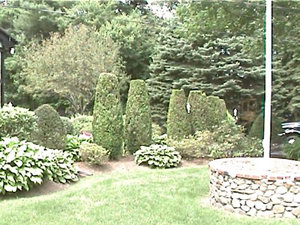 We offer al types of landscape design